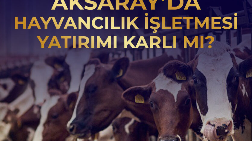 Altinpusula gayrimenkul,satilik ciftlik,altinpusula,Aksaray satılık ev,Aksaray satılık arsa,Aksaray gayrimenkul,Aksaray emlak,Aksaray satılık tarla,satılık gayrimenkul,satlik ev